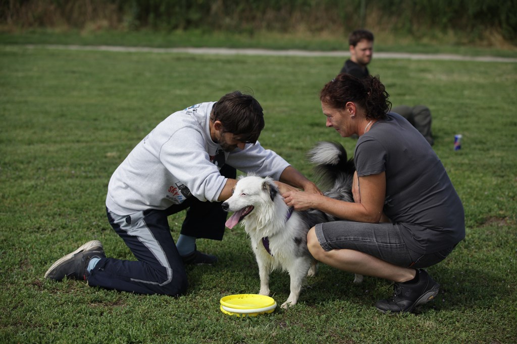 Sven Dogfrisbee Workshop 2016 Breitenlee